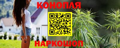 бошки Будённовск