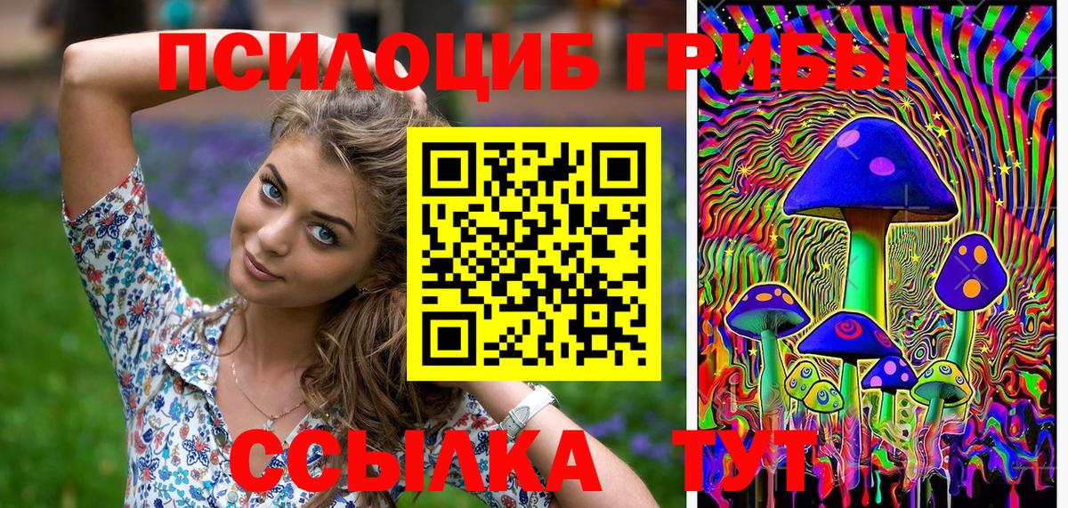 Псилоцибиновые грибы GOLDEN TEACHER Магадан